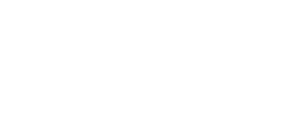 fibwi · Patrocinador Principal